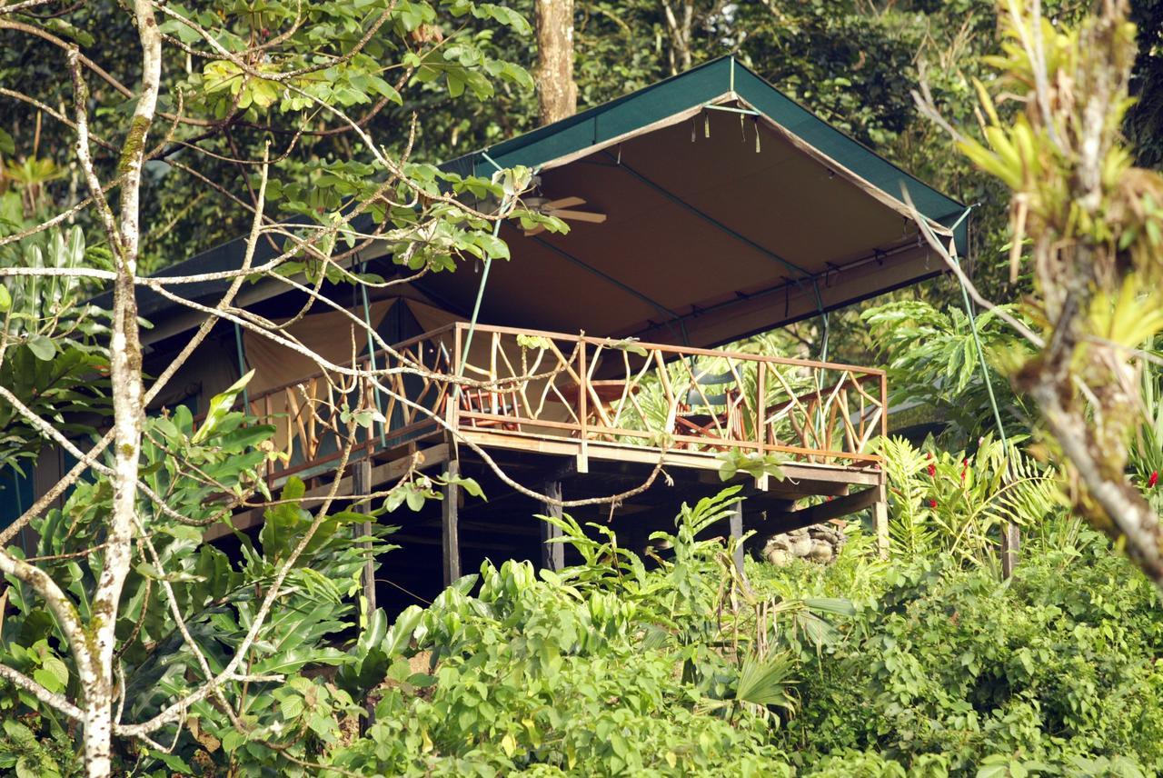 Savegre Rafiki Safari Lodge חדר תמונה